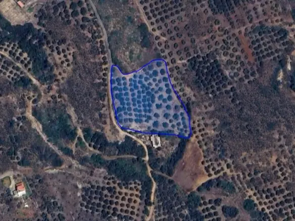 Land In Vrachasi, Greece