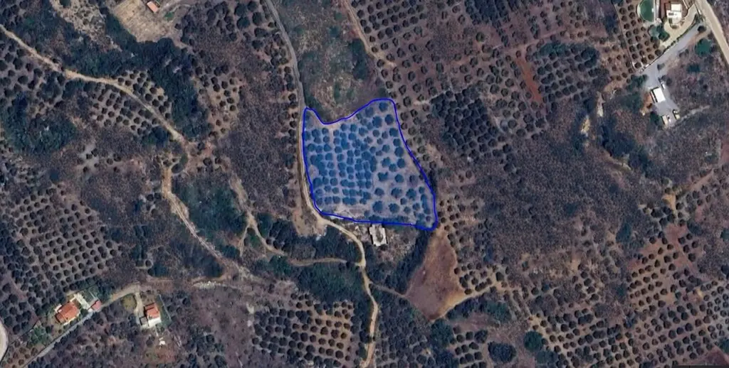 Land In Vrachasi, Greece