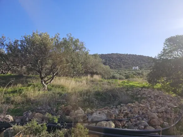 Land In Vrachasi, Greece