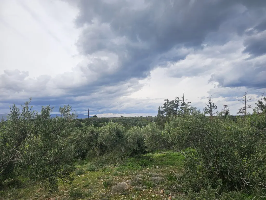 Land Of 8500 M² In Crete