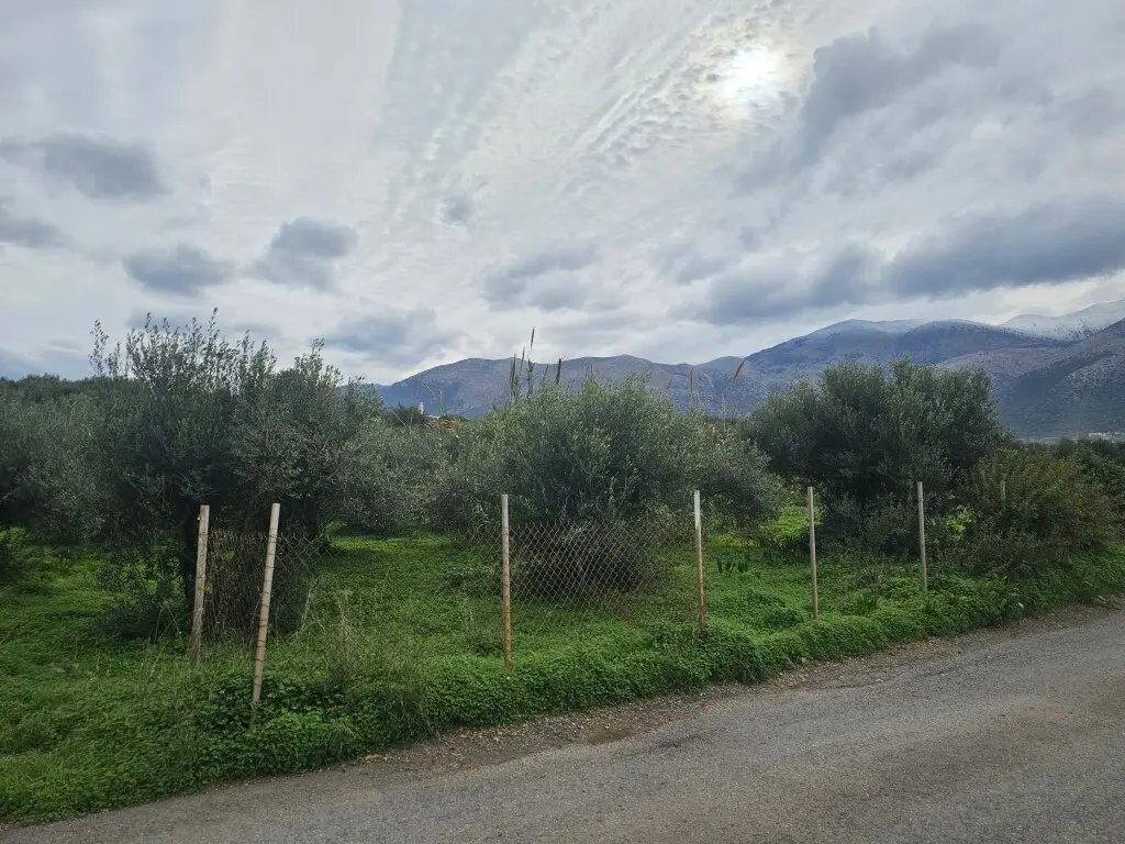 Land Of 8500 M² In Crete