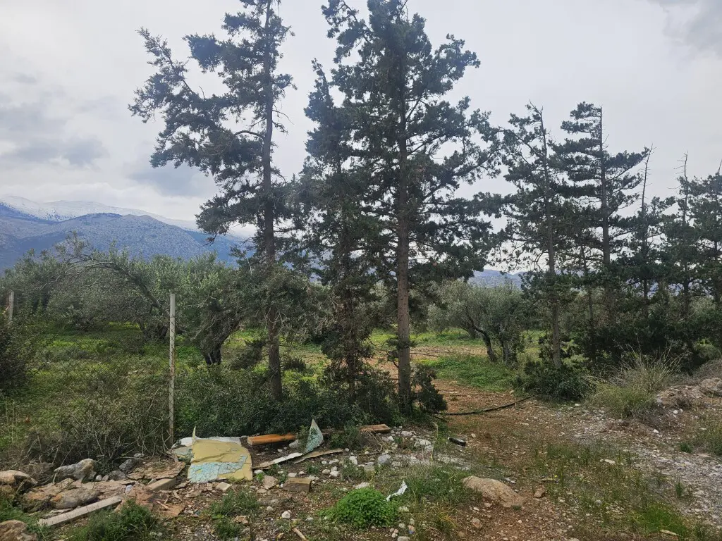 Land Of 8500 M² In Crete