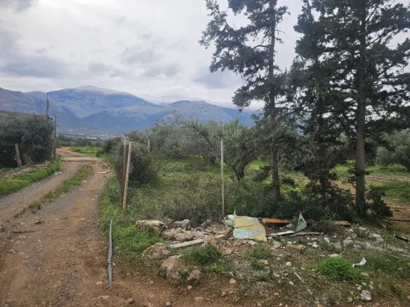 Land In Vrachasi, Greece