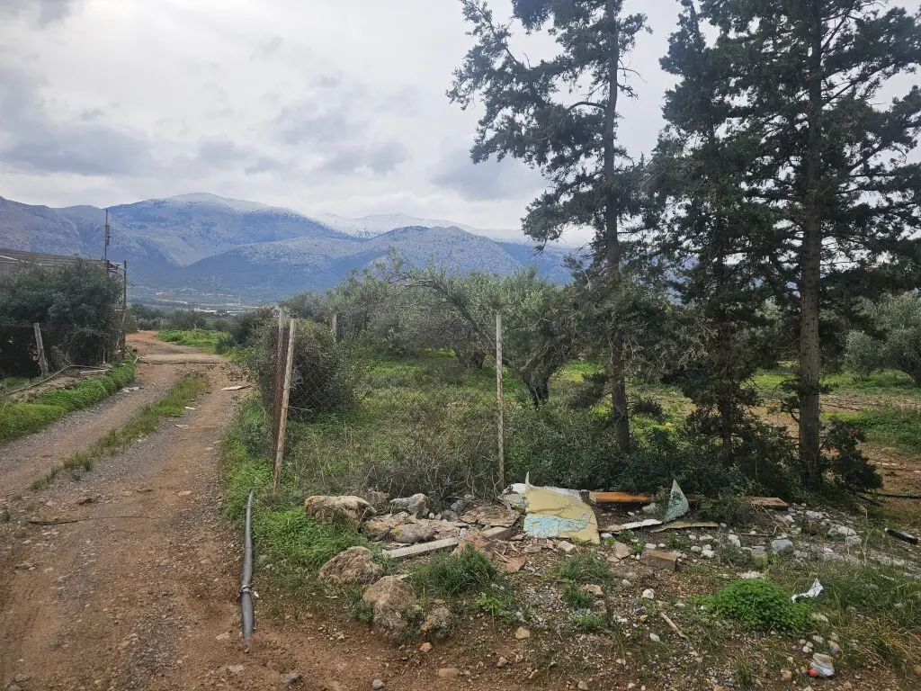 Land Of 8500 M² In Crete
