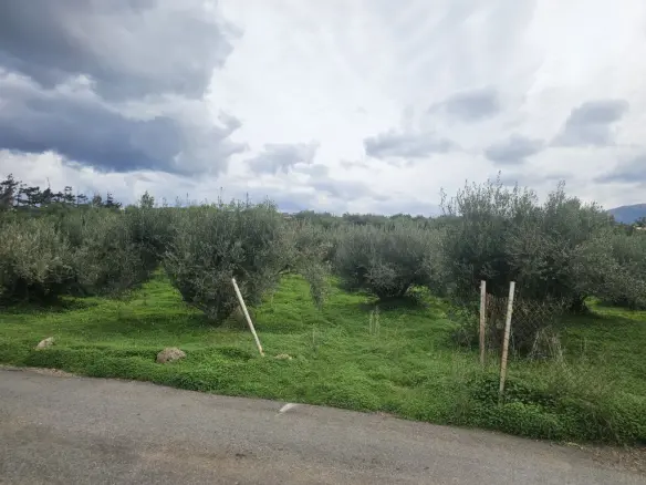 Land In Vrachasi, Greece
