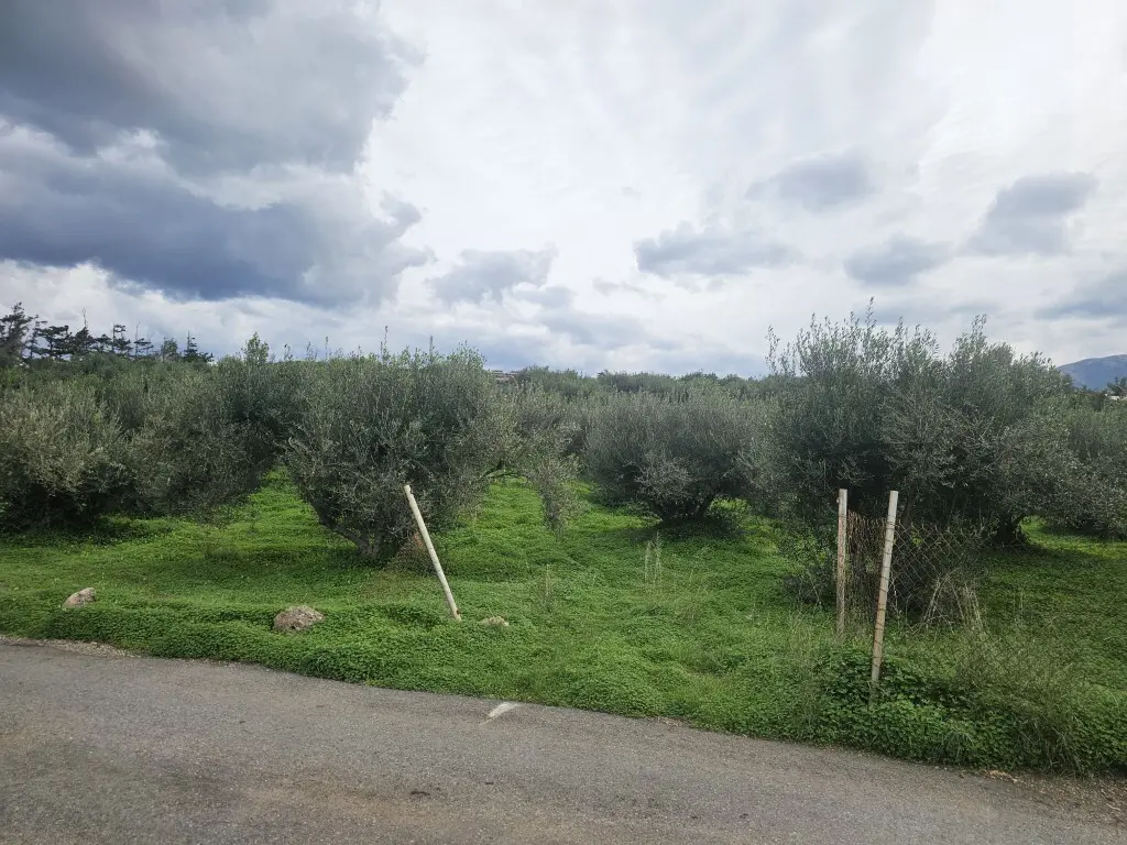 Land Of 8500 M² In Crete