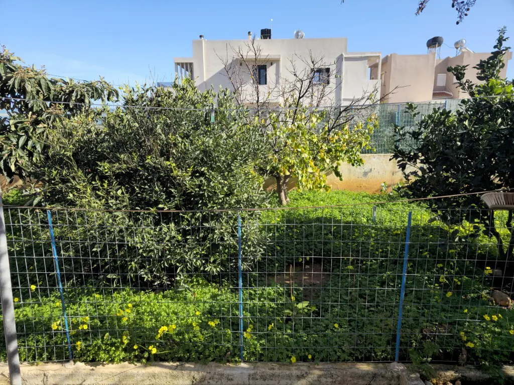 Land In Vrachasi, Greece