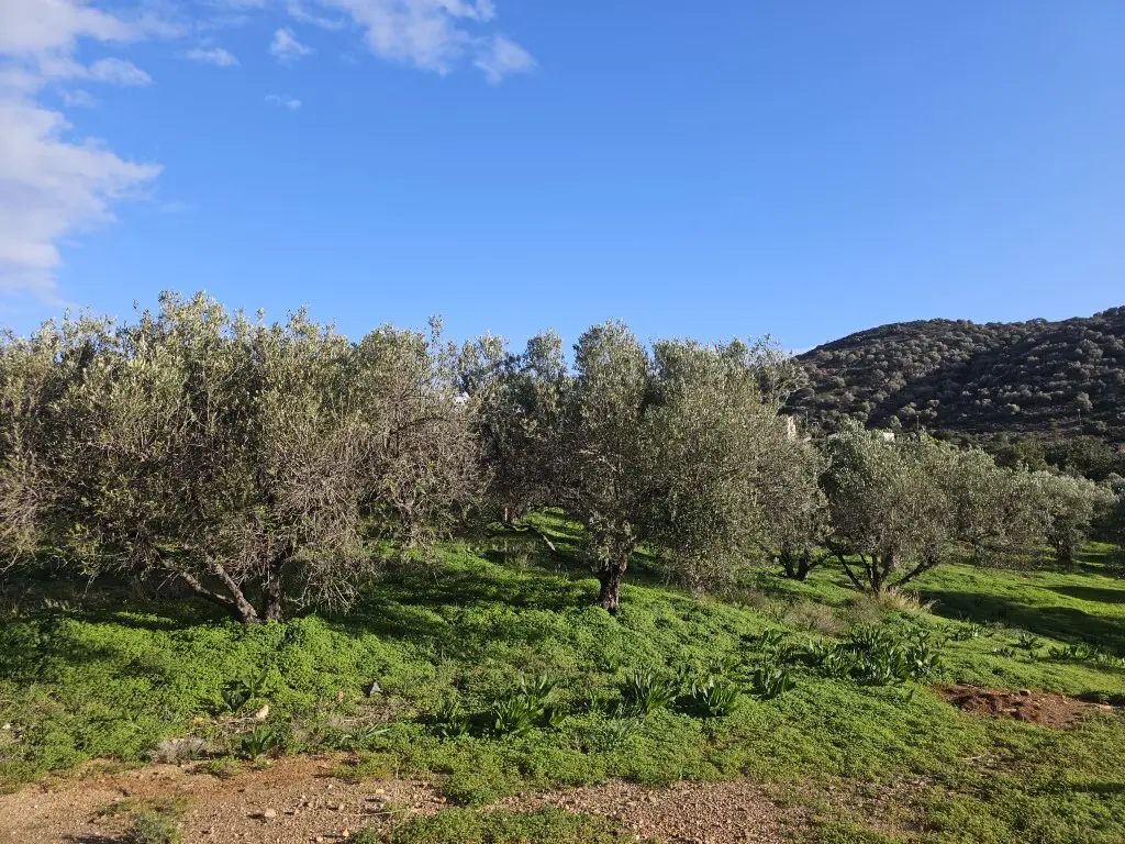 Land In Vrachasi, Greece