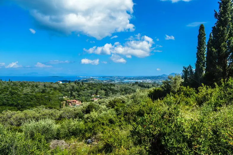 Land Of 2569 M² In Corfu