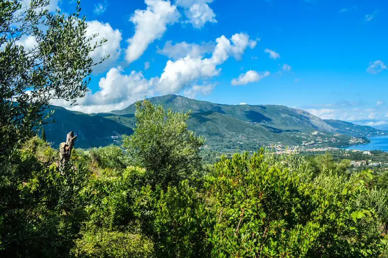 Land Of 2569 M² In Corfu