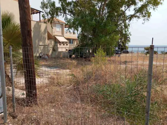 Land In Megara, Greece