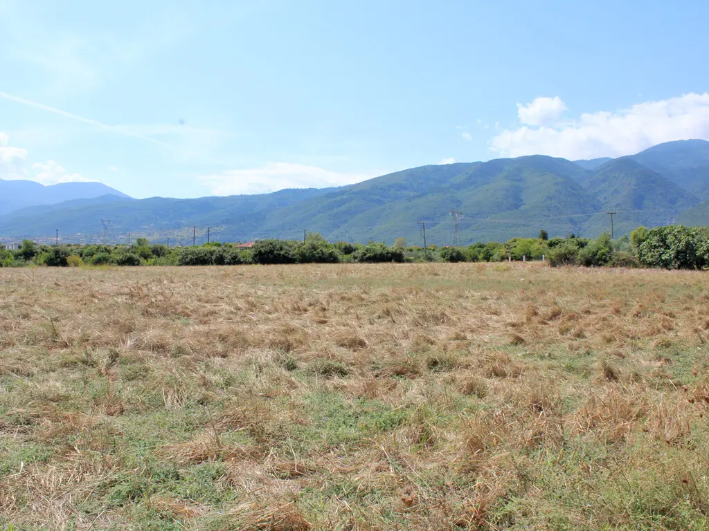 Land Of 5869 M² On The Olympic Coast