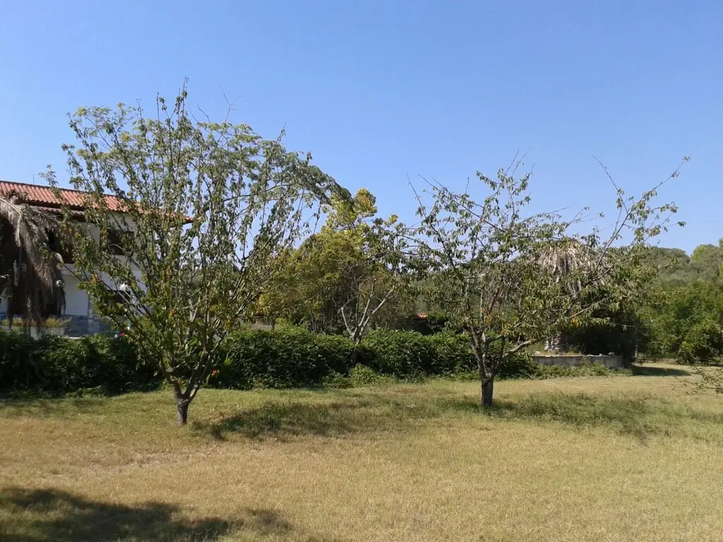Detached House Of 340 M² With Sea View In Kassandra, Chalkidiki
