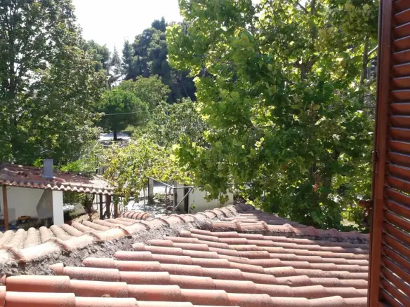 4-bedroom Detached House In Kassandra, Greece (340 M²)