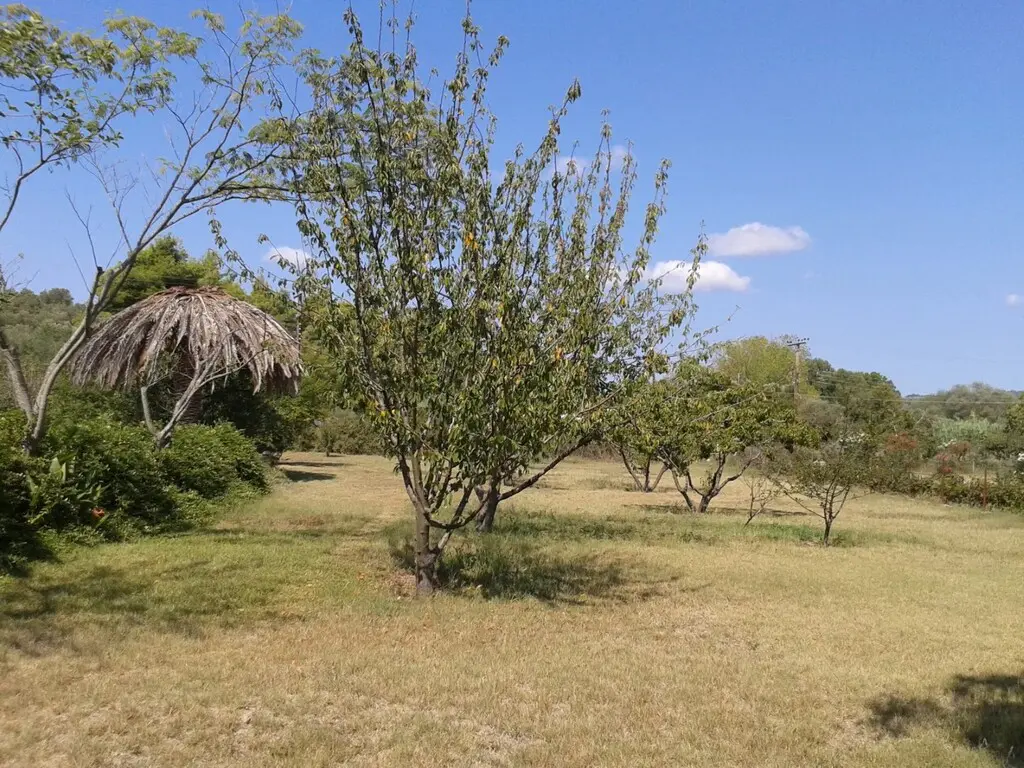Detached House Of 340 M² With Sea View In Kassandra, Chalkidiki