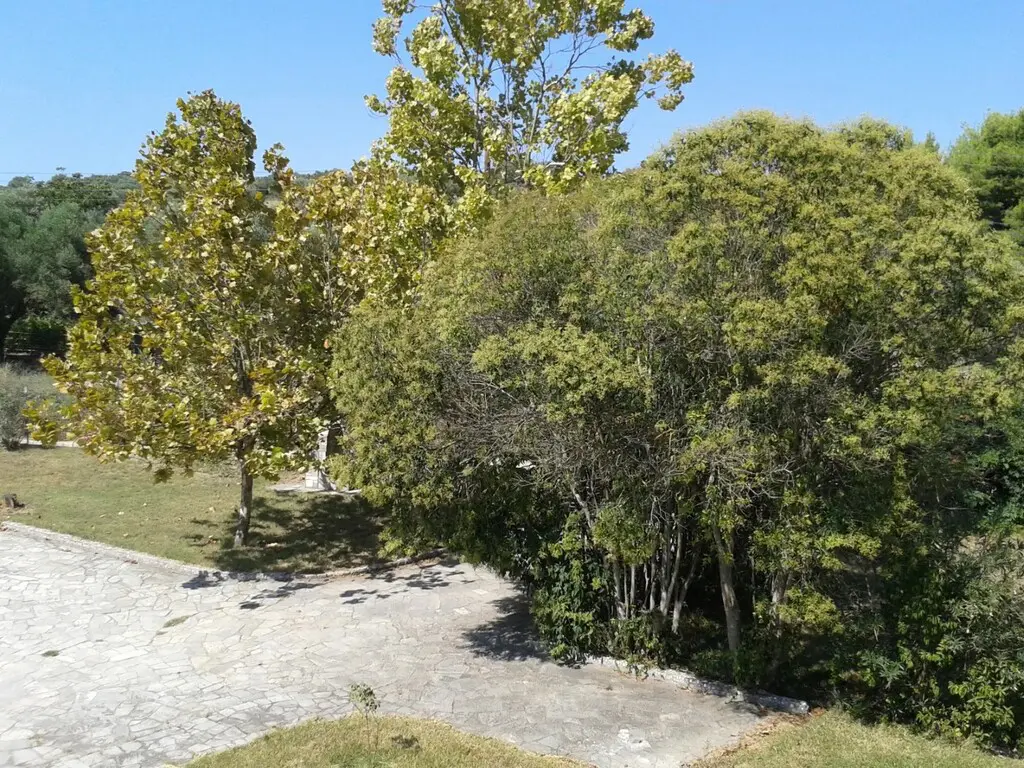 Detached House Of 340 M² With Sea View In Kassandra, Chalkidiki
