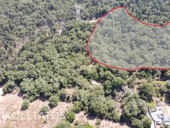 Land Of 4000 M² In Psilithrias, Greece