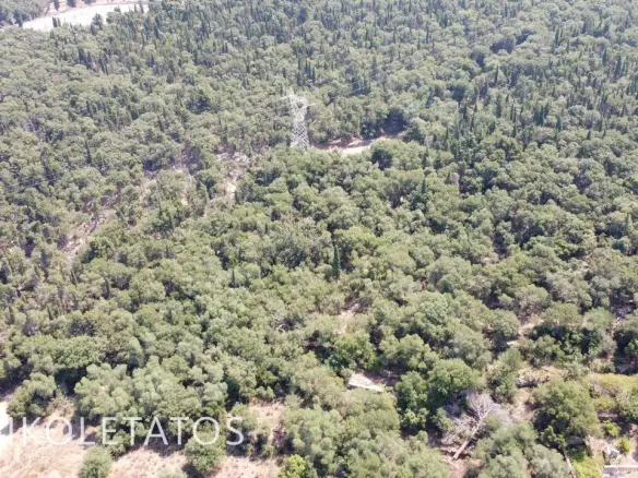 Land Of 4000 M² In Psilithrias, Greece