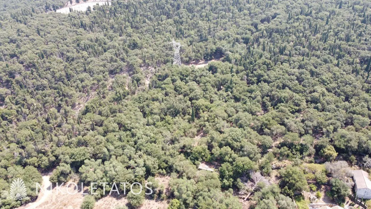 Land Of 4000 M² In Psilithrias, Greece