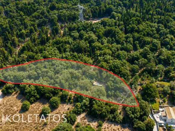 Land Of 1000 M² In Psilithrias, Greece