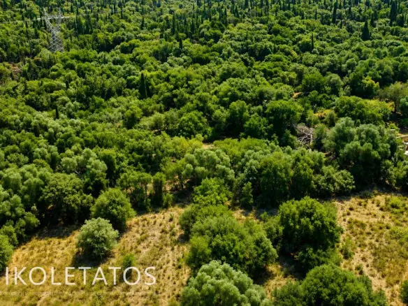 Land Of 1000 M² In Psilithrias, Greece