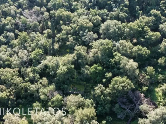 Land Of 4000 M² In Psilithrias, Greece