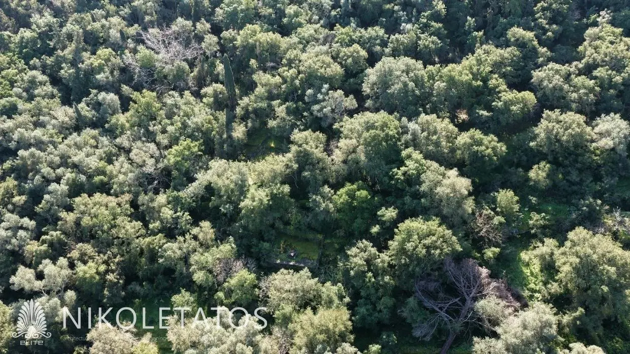 Land Of 4000 M² In Psilithrias, Greece