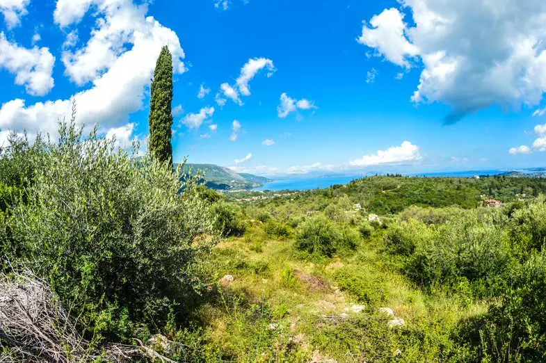 Land Of 2569 M² In Corfu