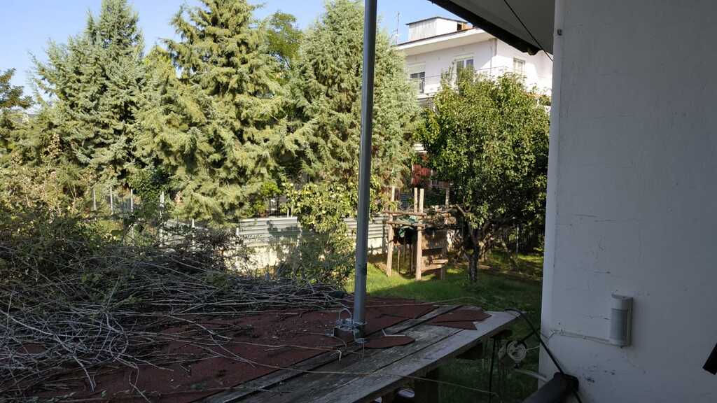 Detached House Of 120 M² In Olympic Coast