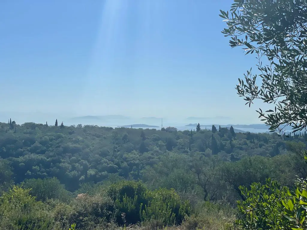 Land Of 2569 M² In Corfu