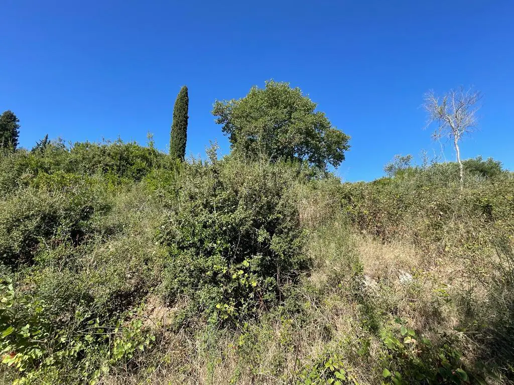 Land Of 2569 M² In Corfu