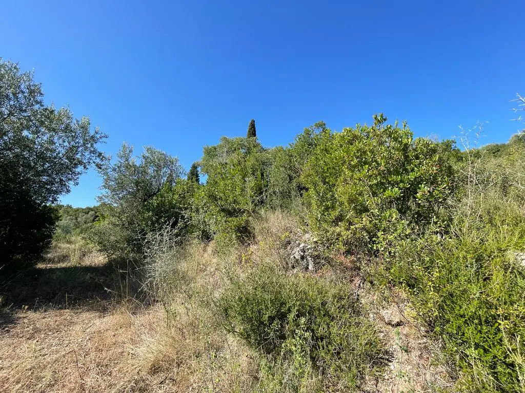Land Of 2569 M² In Corfu