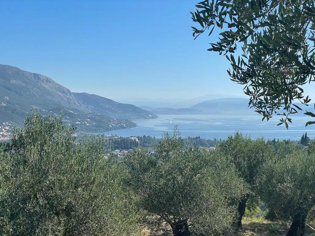 Land Of 2569 M² In Corfu