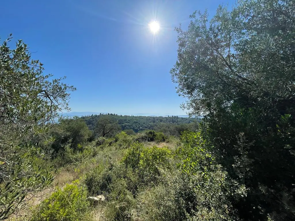 Land Of 2569 M² In Corfu