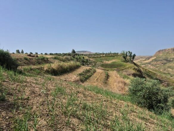 Rural Building With Land In Sicily – Contrada Castellaccio