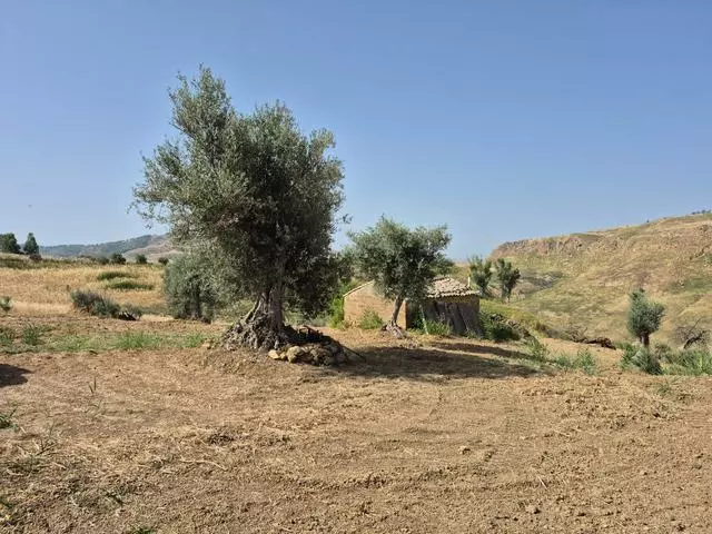 Rural Building With Land In Sicily – Contrada Castellaccio