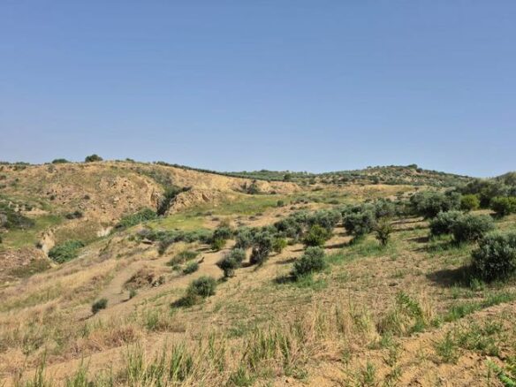 Rural Building With Land In Sicily – Contrada Castellaccio