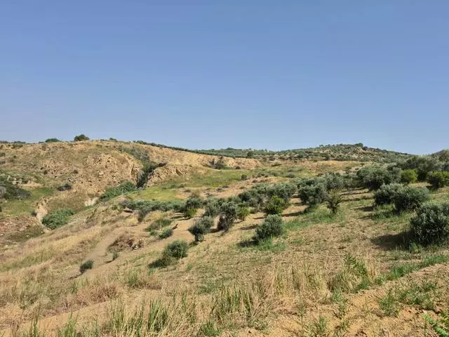 Rural Building With Land In Sicily – Contrada Castellaccio