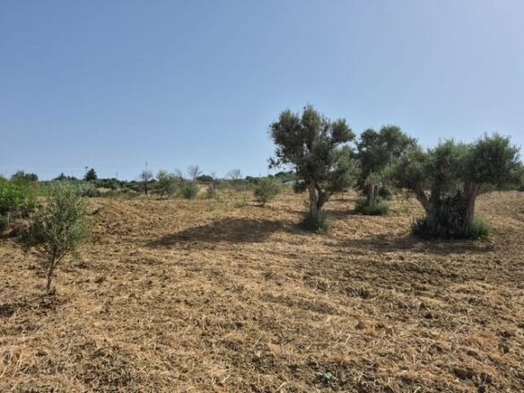Rural Building With Land In Sicily – Contrada Castellaccio