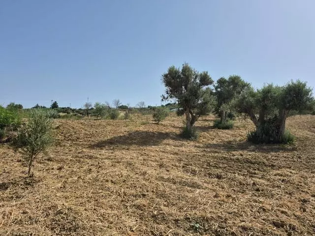 Rural Building With Land In Sicily – Contrada Castellaccio