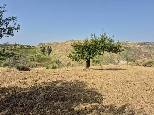 Rural Building With Land In Sicily – Contrada Castellaccio