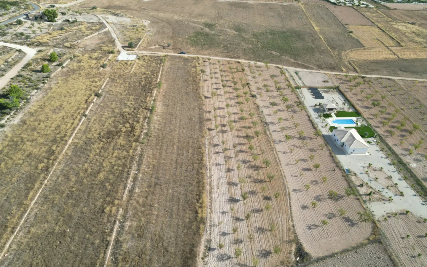 Land Of 0 M² In Pinoso, Spain