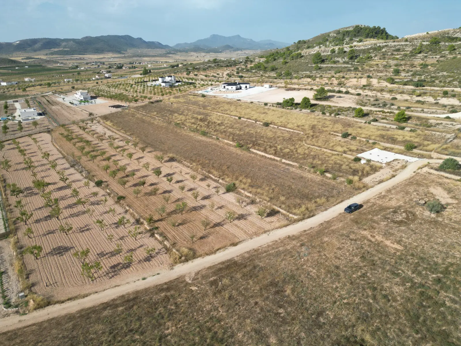 Land Of 0 M² In Pinoso, Spain