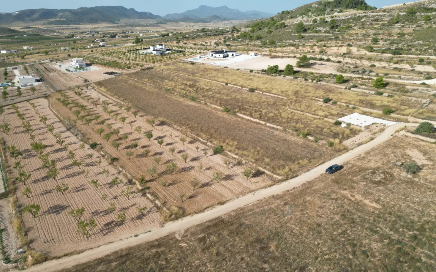 Land Of 0 M² In Pinoso, Spain