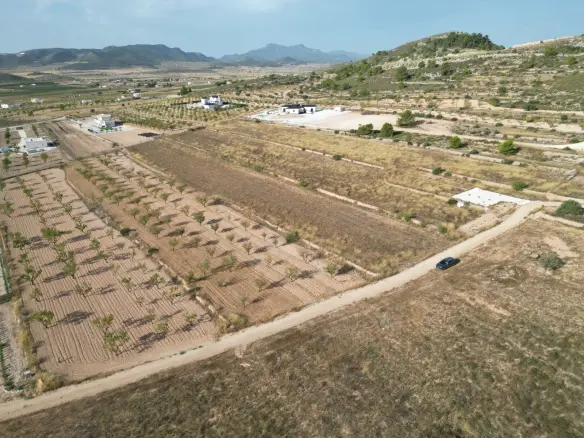 Land Of 0 M² In Pinoso, Spain