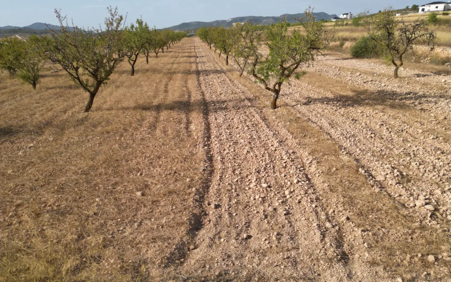 Land Of 0 M² In Pinoso, Spain