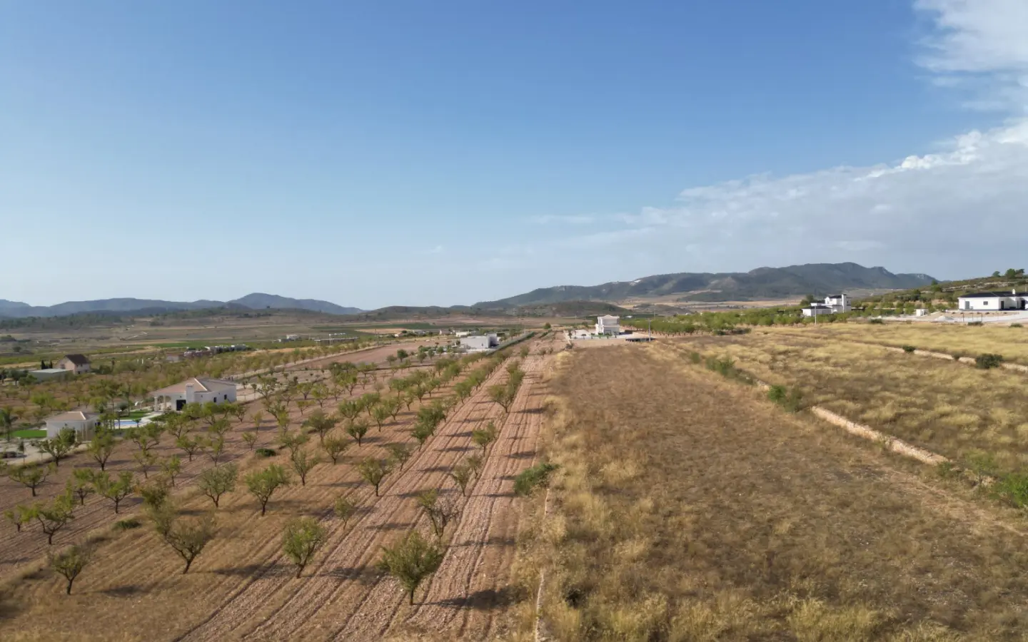 Land Of 0 M² In Pinoso, Spain