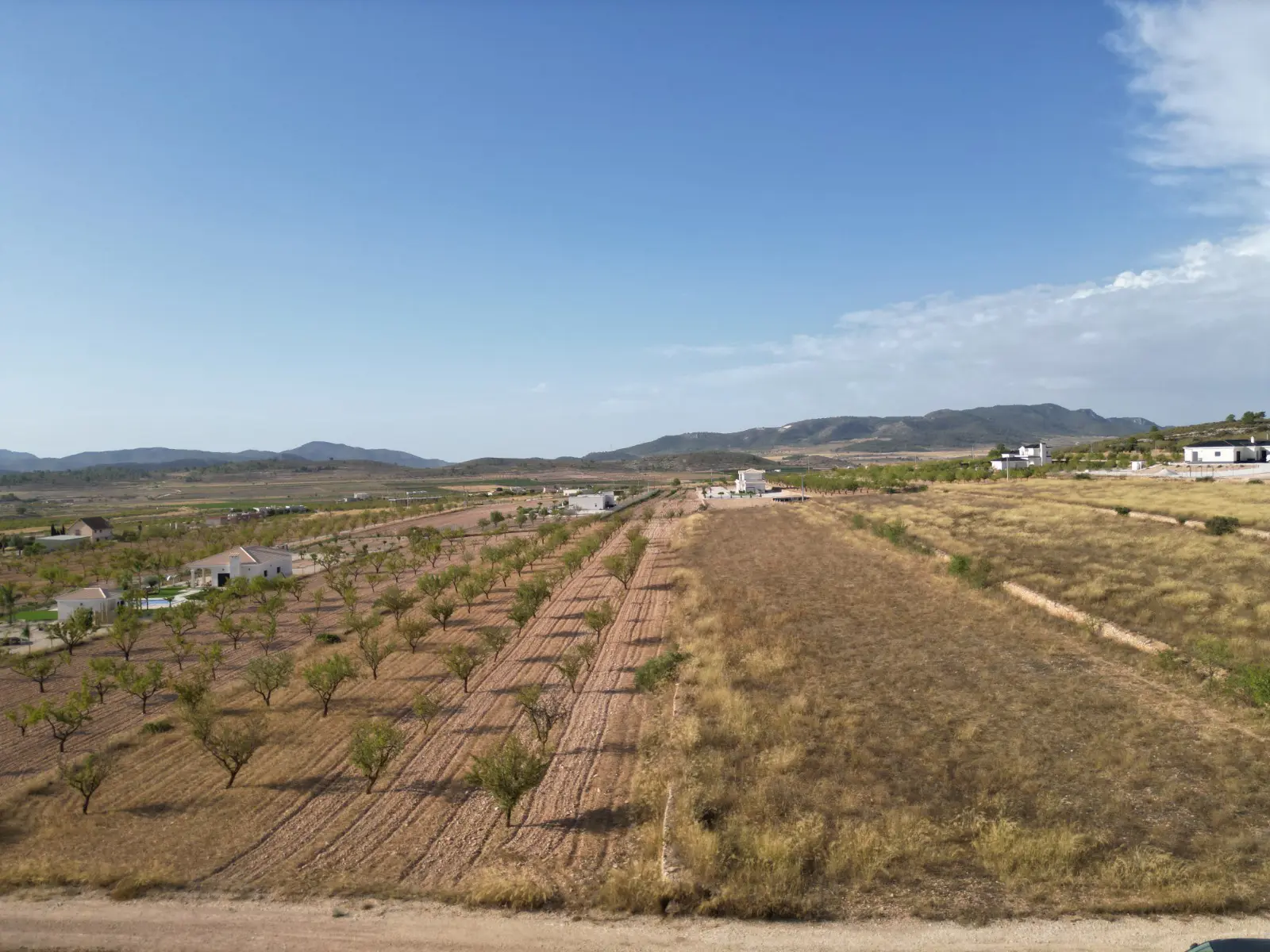 Land Of 0 M² In Pinoso, Spain