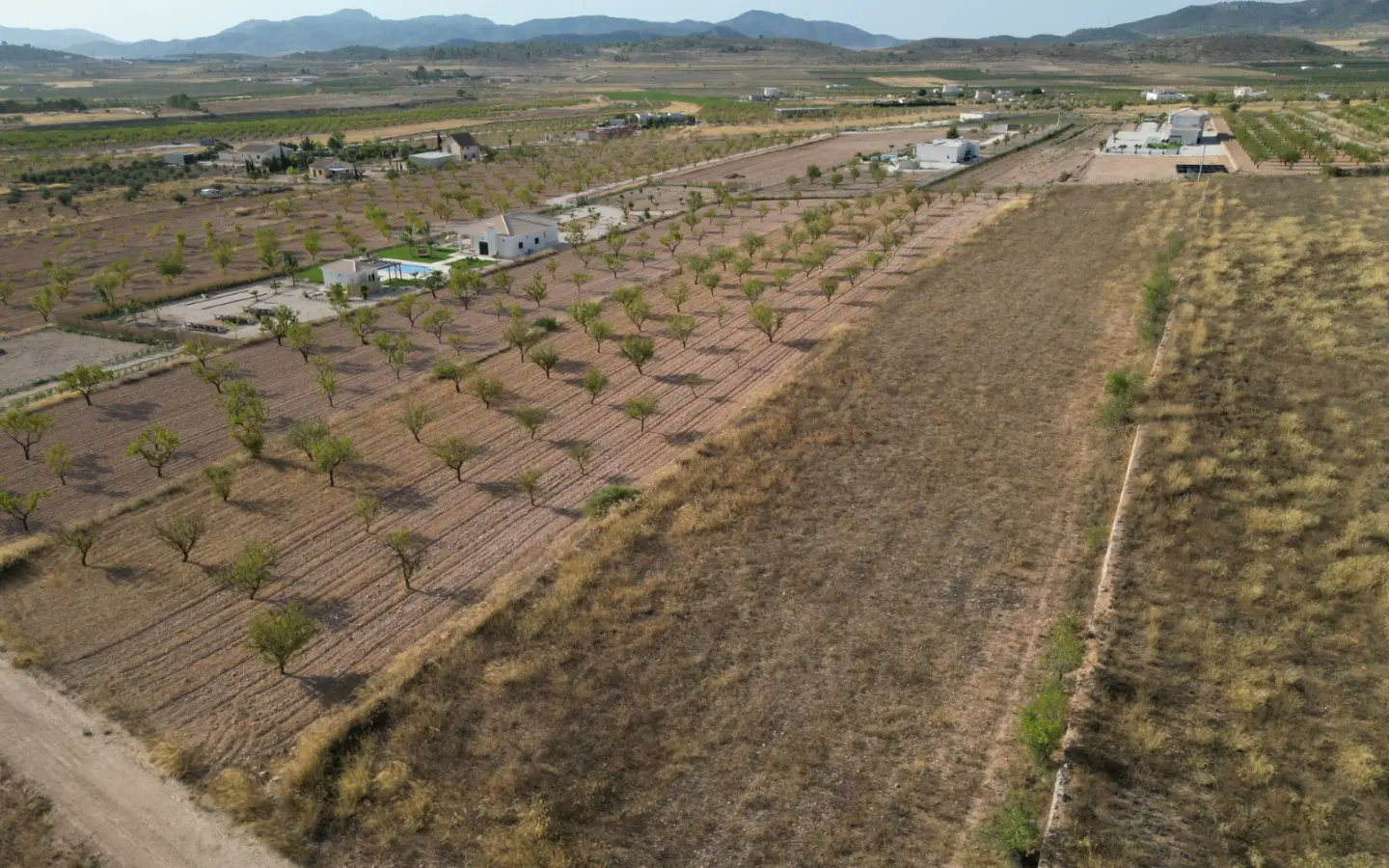 Land Of 0 M² In Pinoso, Spain