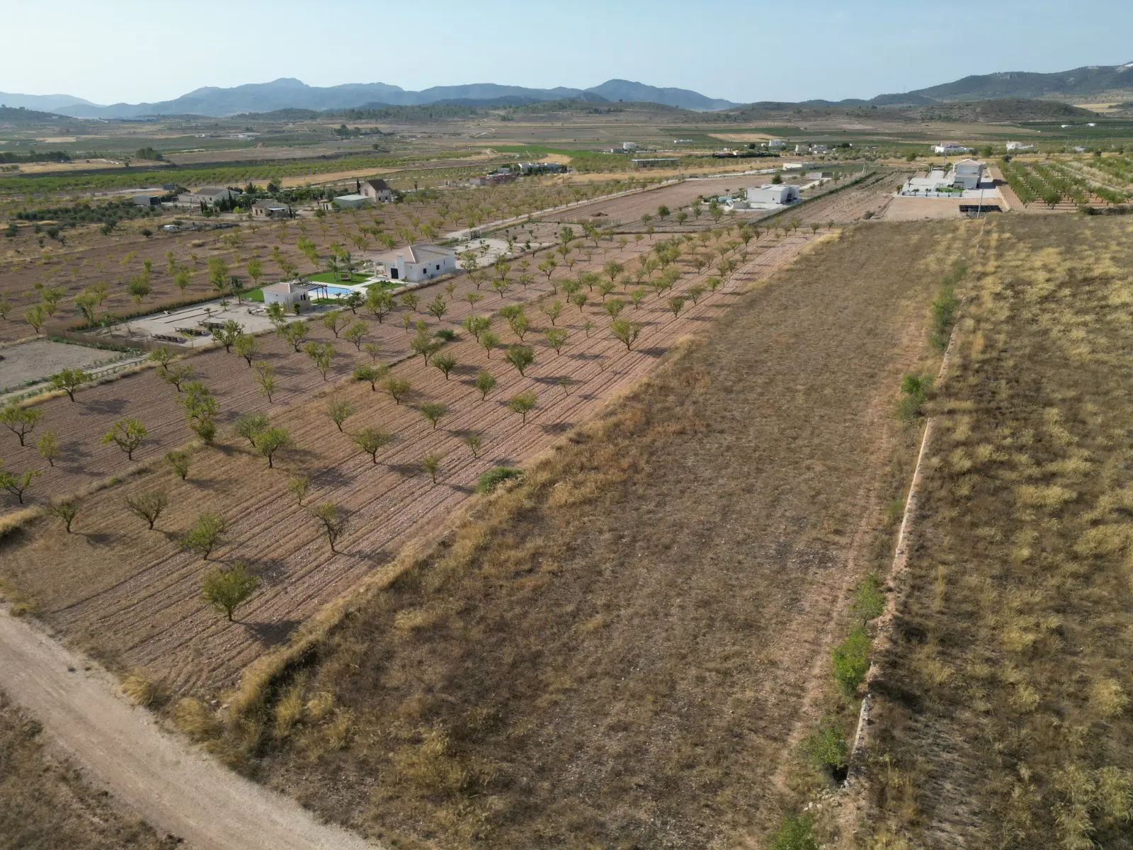 Land Of 0 M² In Pinoso, Spain